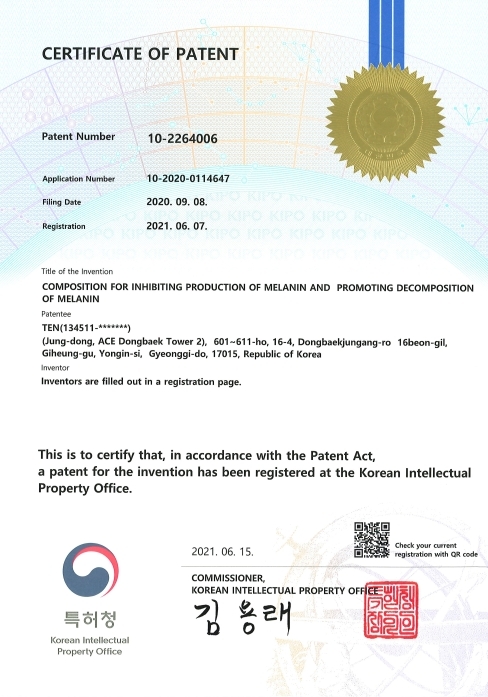 Patent No. 10-2264006