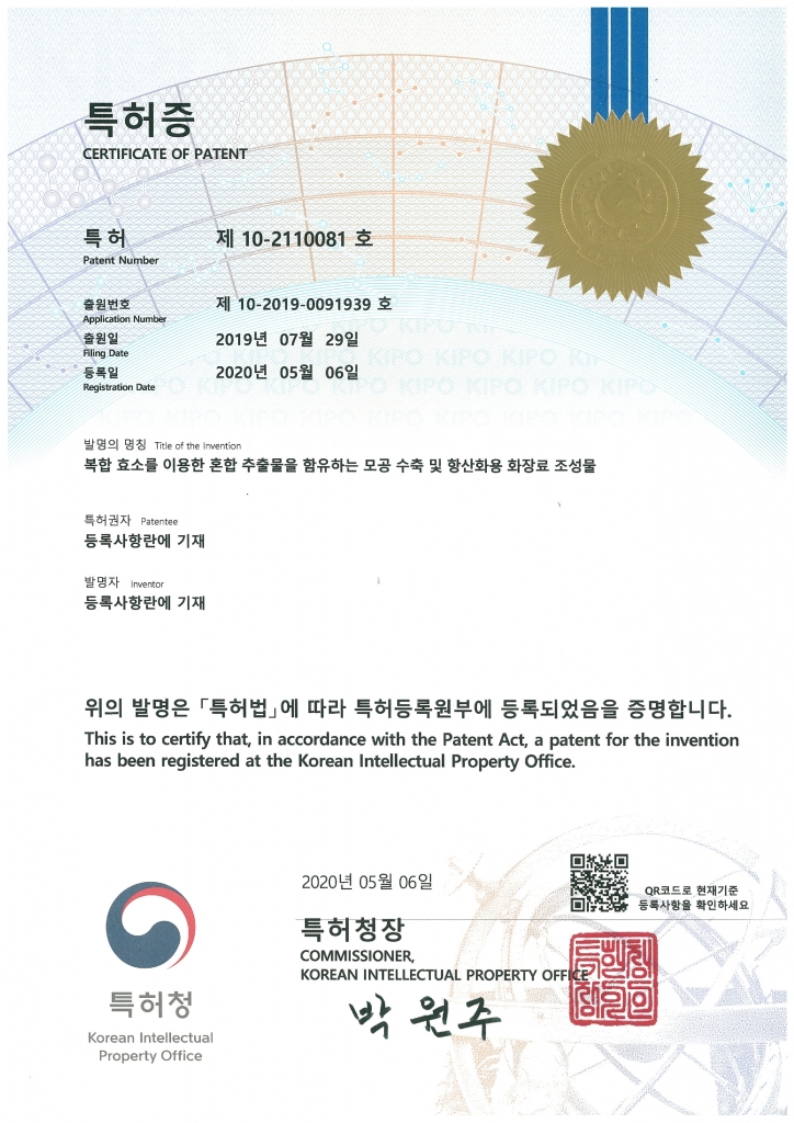 Patent No. 10-2110081