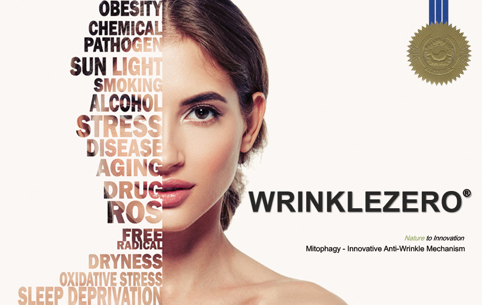 WRINKLEZERO